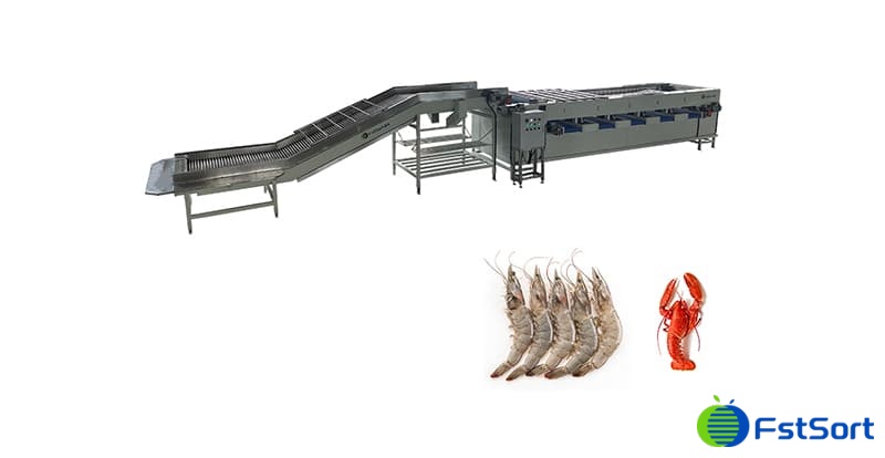 images/1688024142943lobster sorter grader.jpg